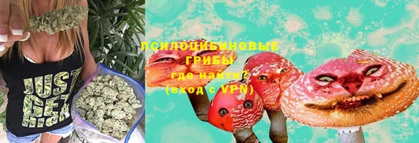 mdpv Алзамай