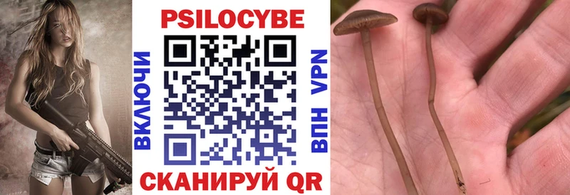 Галлюциногенные грибы Magic Shrooms  Североуральск 